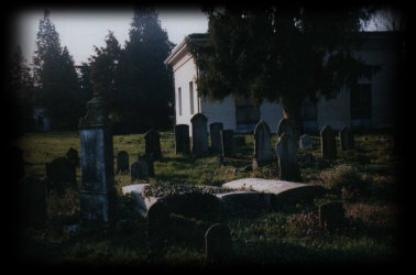 Cimitero ebraico di Ferrara (2)